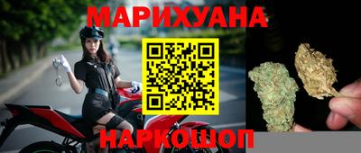 крисы Норильск
