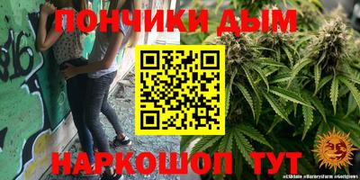 крисы Норильск