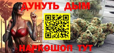 крисы Норильск