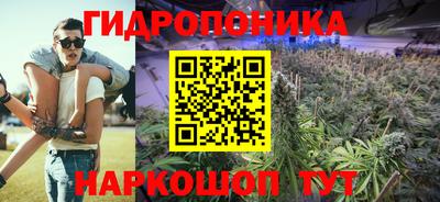 крисы Норильск