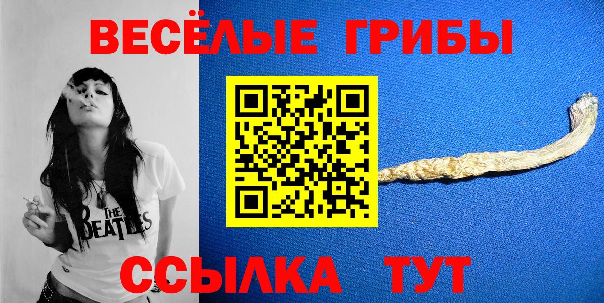 Вичуга  где найти наркотики  Вход с VPN  Псилоцибиновые грибы мицелий 